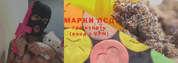 стаф Волосово