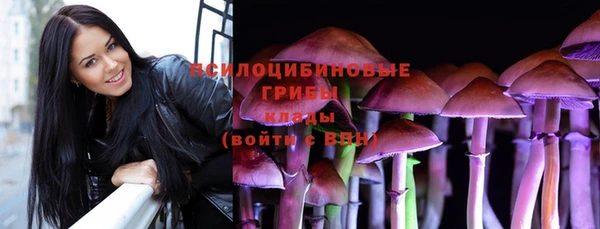 PSILOCYBIN Вязники