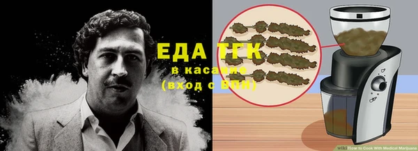 PSILOCYBIN Вяземский