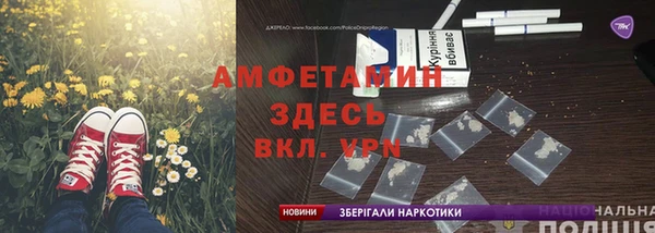 PSILOCYBIN Вязники