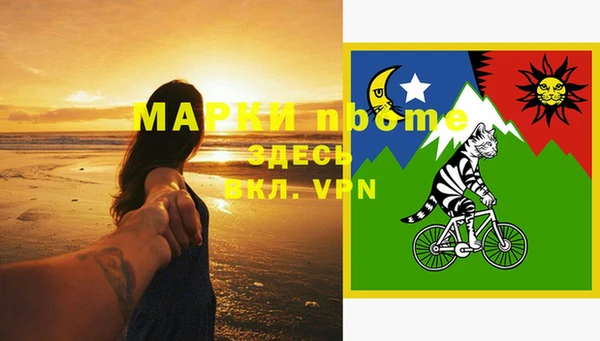 шишки Володарск